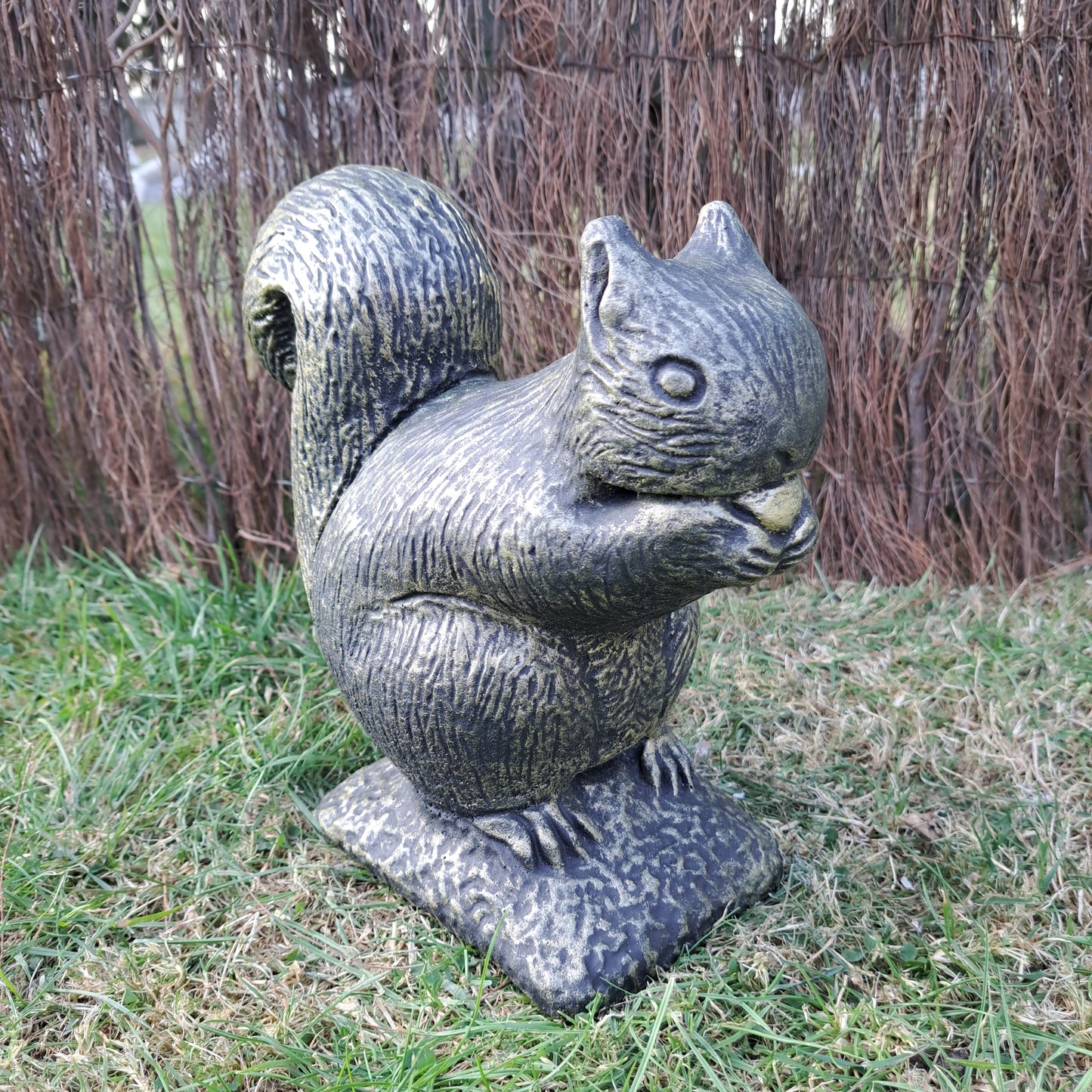 Squirrel