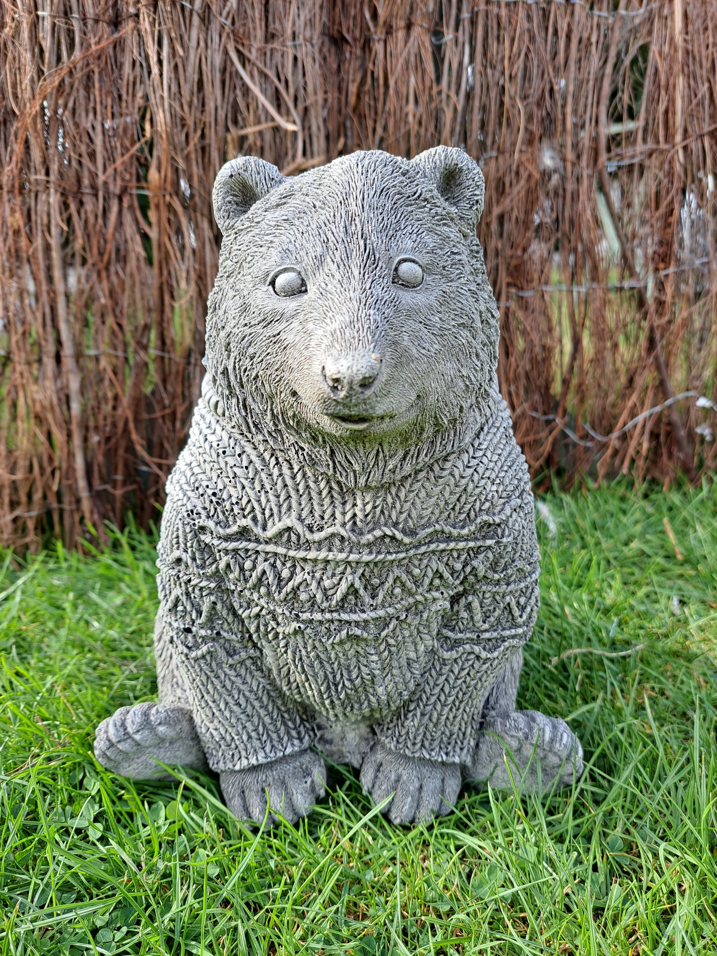 Bear in Jumper