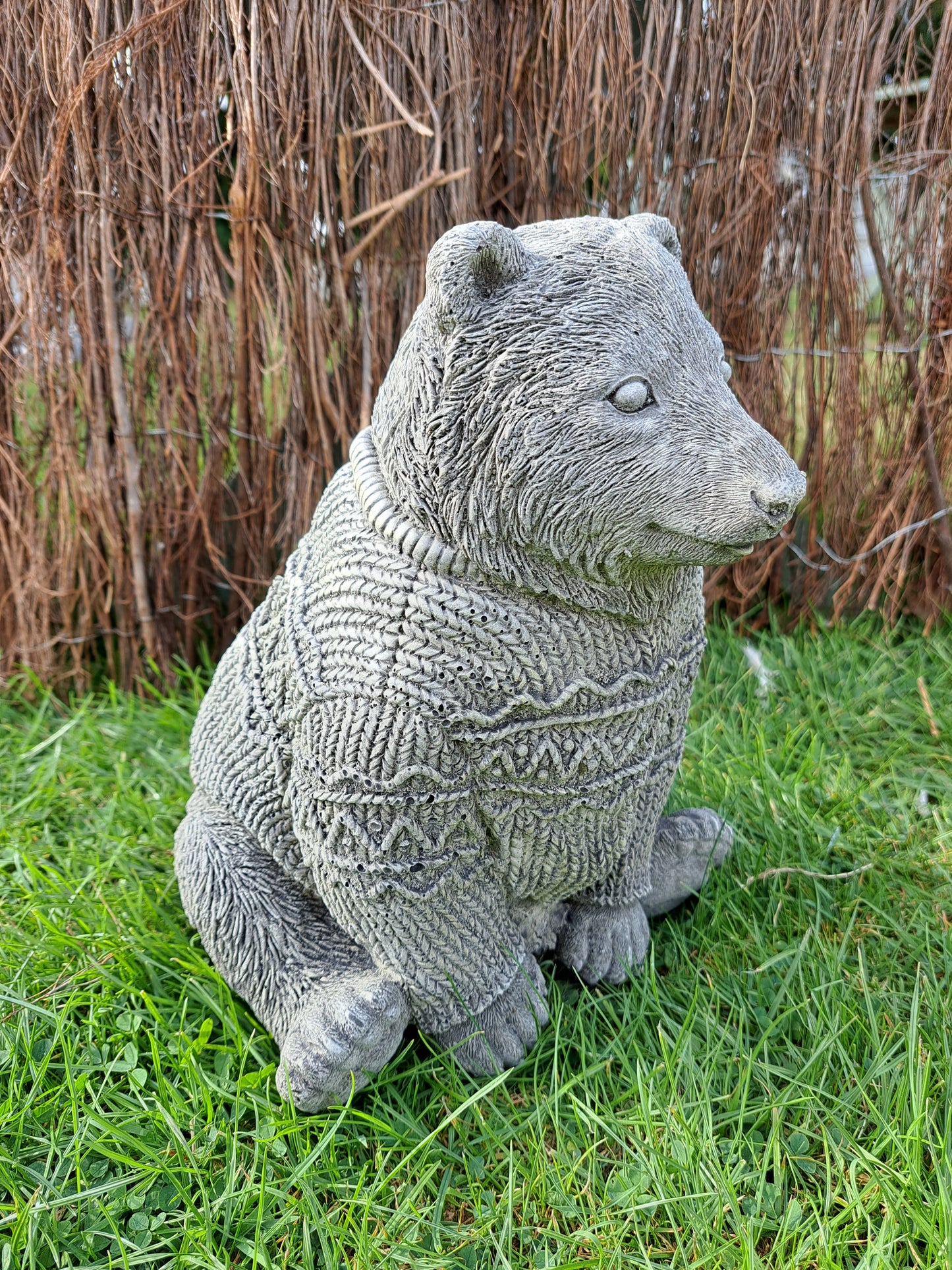 Bear in Jumper