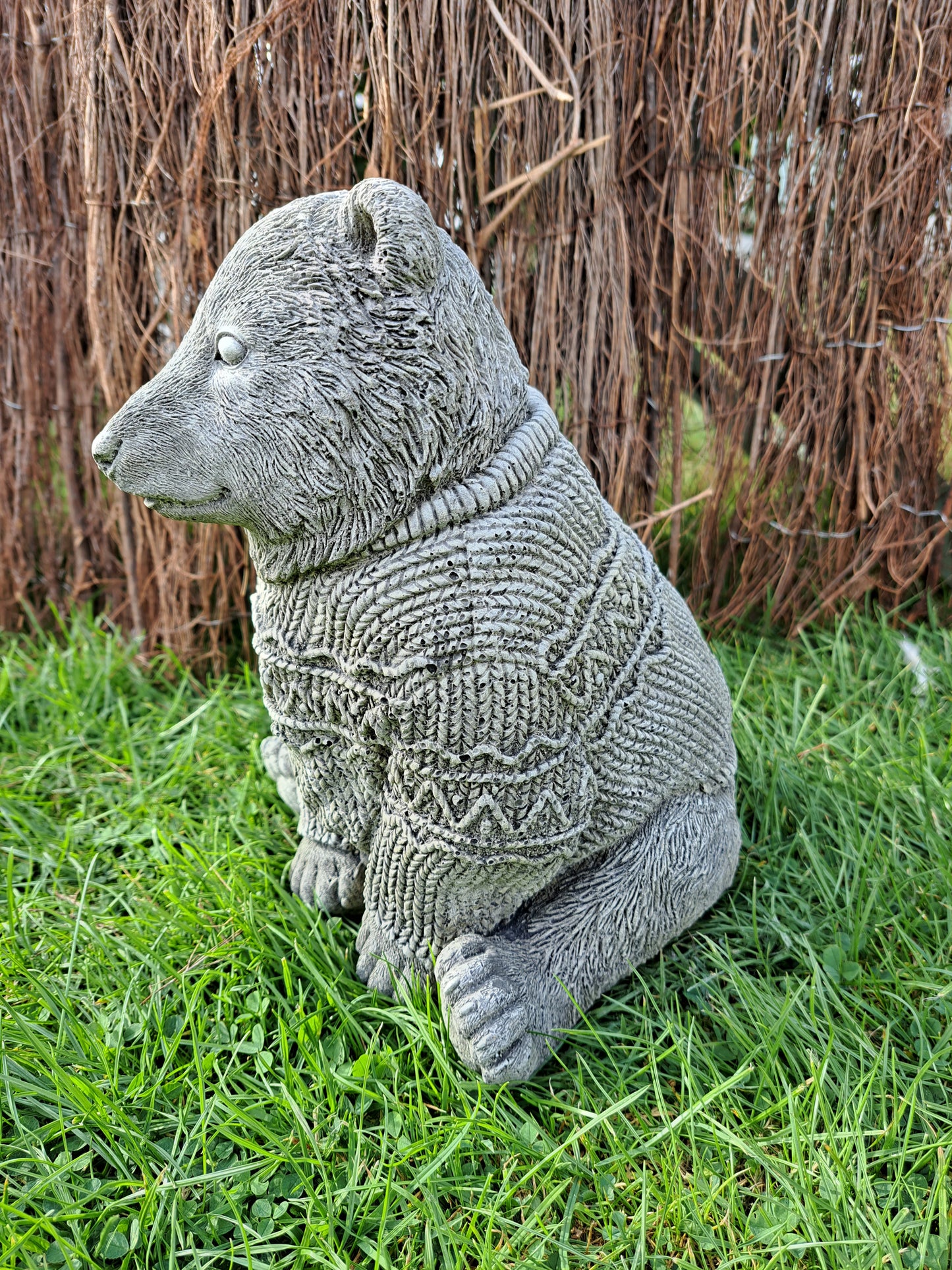 Bear in Jumper