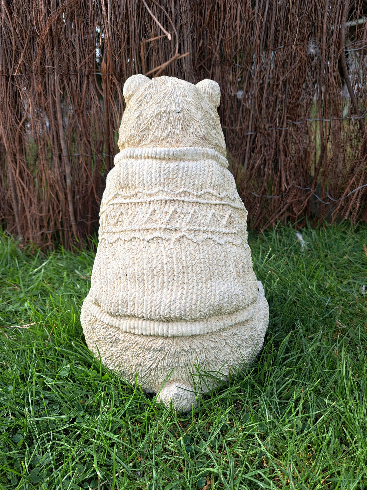 Bear in Jumper