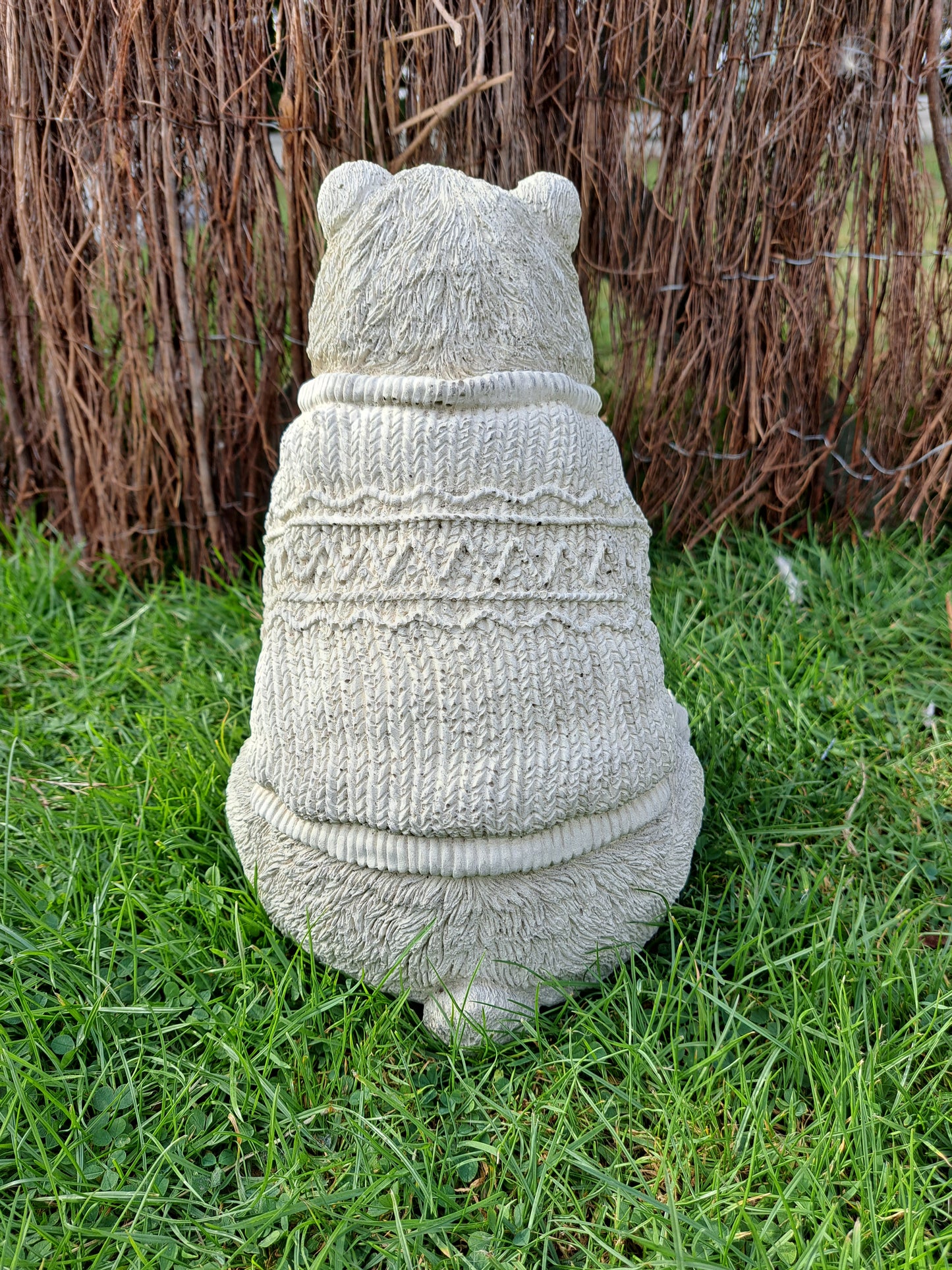 Bear in Jumper