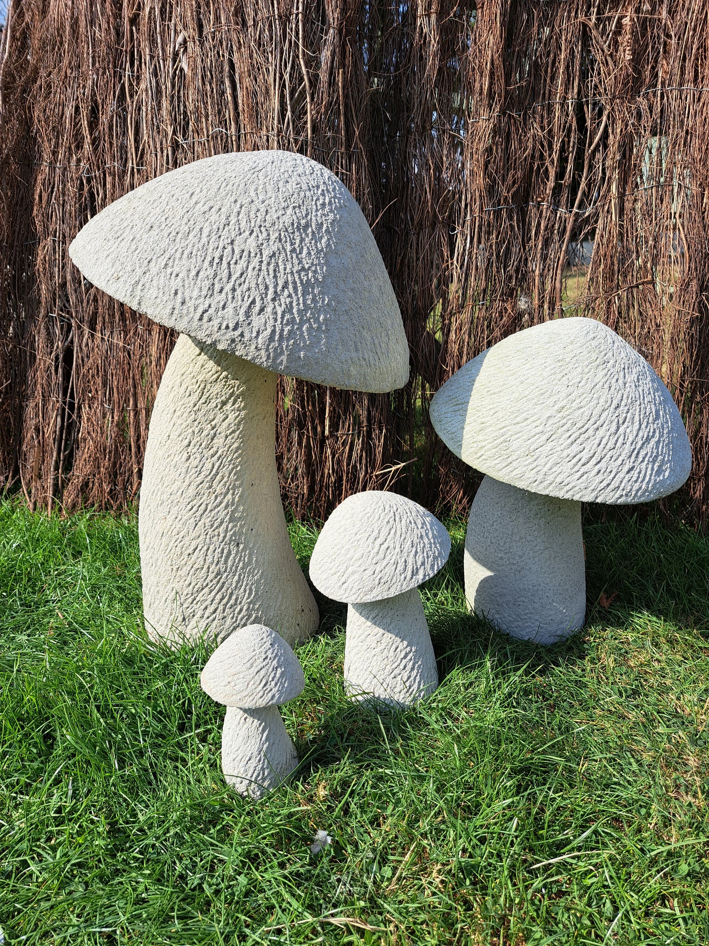 Mushrooms